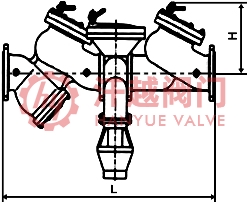 带过滤倒流防止器
