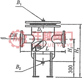 直通封头篮式过滤器