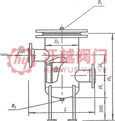 SRBIVF高低接管封头篮式过滤器
