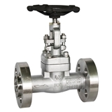 Inconel625合金闸阀