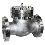 Inconel625合金止回阀