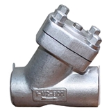 双相不锈钢Y型过滤器