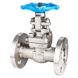 双相不锈钢F51闸阀