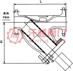 法兰连接Y形过滤器